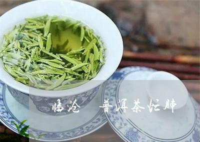 临沧 普洱茶忙肺/2023041070592